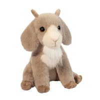 Beardie Billy Goat