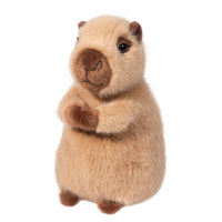Chattie Mini Capybara