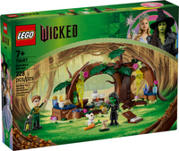75687: Elphaba's Retreat