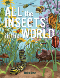 All the Insects in the World by David Opie