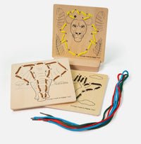 Jungle Lacing by Numbers on