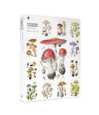 Mushrooms: Alexander Viazmensky 1000pc