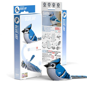 Eugy: 3D Blue Jay Kit