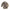 Bashful Woodland Bunny Medium