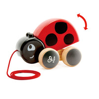 Ladybug Pull Along