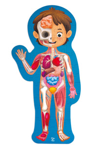 Human Body Puzzle: 50 Pieces