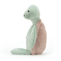I am the original Bashful Turtle