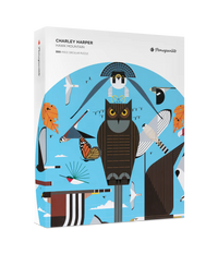 Charley Harper: Hawk Mountain 500pc
