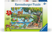 Animals Above and Below- 60 Pieces
