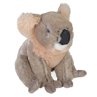 Cuddlekins Koala