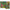Foliage Frenzy 1000pc