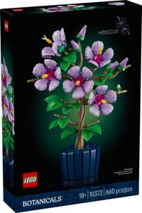 10372: Hibiscus
