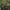 Verdant Game