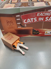 Racing Cat in Sack