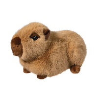 Chattie Capybara