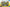 Wildlife Gathering- 150 Pieces