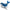Eugy: 3D Humpback Whale Kit