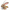 Eugy: 3D Rabbit Kit