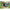 Wildlife of Great Smoky Mountains National Park 100pc Puzzle