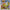 Dinosaur Island 64pc