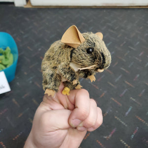 Mini Field Mouse