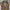 Day at the Zoo 48pc