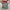Jumbo Sidewalk Chalk - 20 sticks