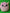 Bitsy Squishaboo, large