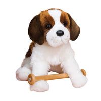 Oma Saint Bernard