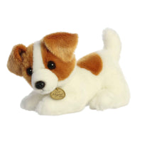Jack Russell Pup