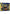 Michigan Wolverines 500 pc puzzle