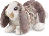 Baby Lop Rabbit