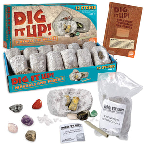 Dig It Up! Minerals And Fossils