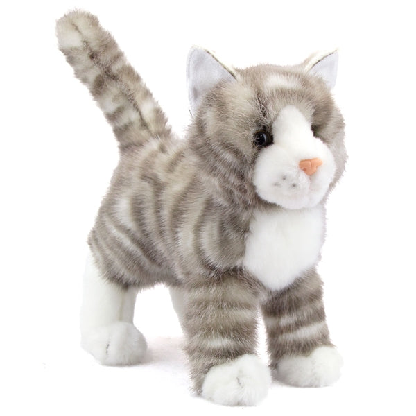 Zipper Grey Tabby Cat
