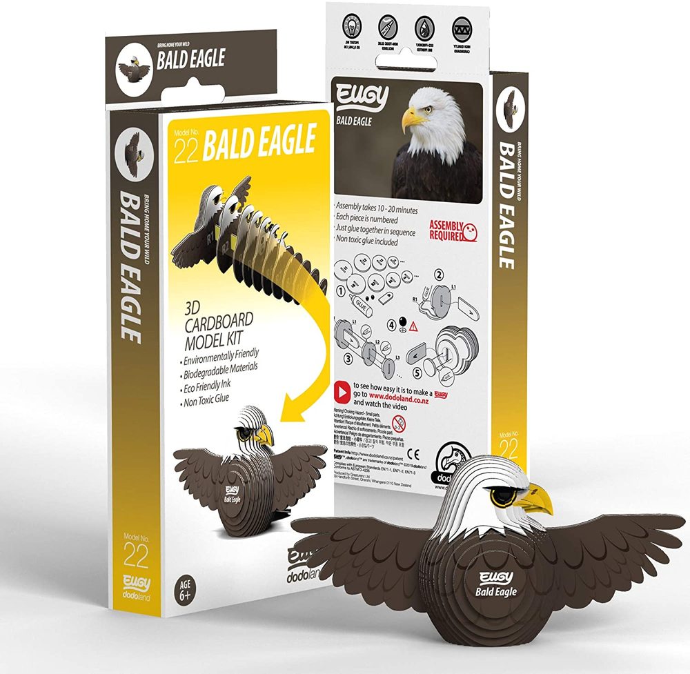 Bald Eagle 3D model- Eugy