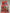 Crazy Aarons SCENTsory putty: Ciderlicious
