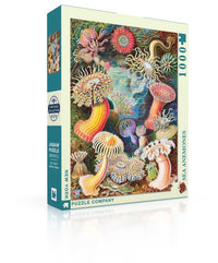 Sea Anemones 1000pc Puzzle