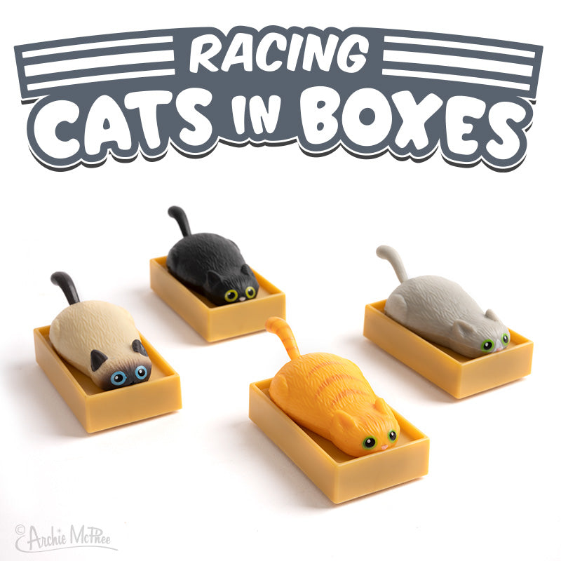Racing Cats In Boxes