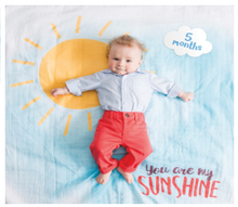 Load image into Gallery viewer, Deluxe Blanket &amp; Cards Set: You Are My Sunshine
