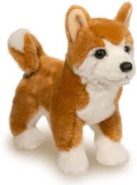 Dunham Shiba Inu