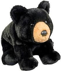 Charlie Black Bear