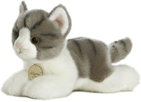 Grey Tabby Cat