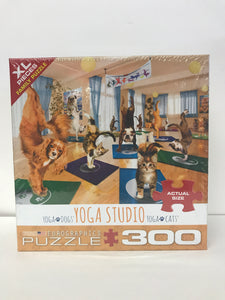 Yoga Studio 300pc