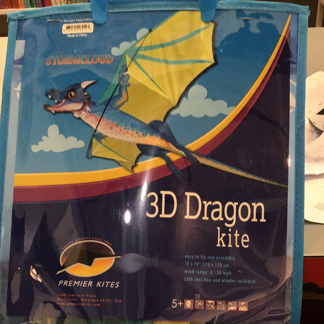 3D Dragon Kite - big!