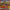 Rainbow Puzzle Railway