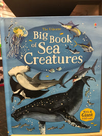 THE USBORNE BIG BOOK OF SEA CREATURES - Minna Lacey & Fabiano Fiorin (Usborne)