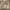 Patchwork pattern Tiles