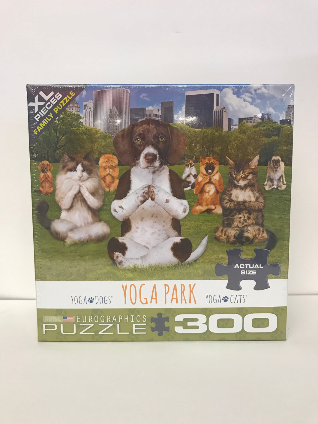 Yoga Park 300pc