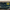 Starry Night panoramic 1000pc