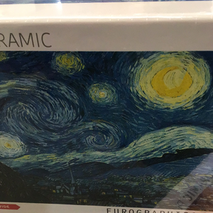 Starry Night panoramic 1000pc